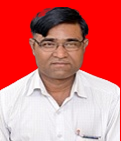 Mr. S. T. Hiran