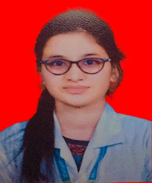 Image Alternative Text.